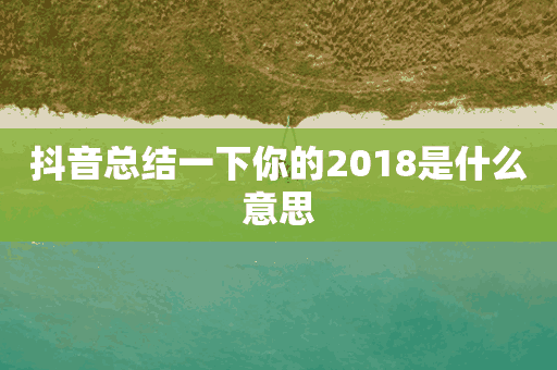 抖音总结一下你的2018是什么意思